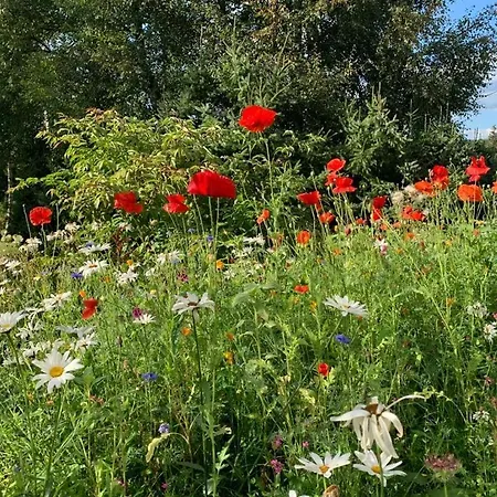 Haus Waldblick Apartman
