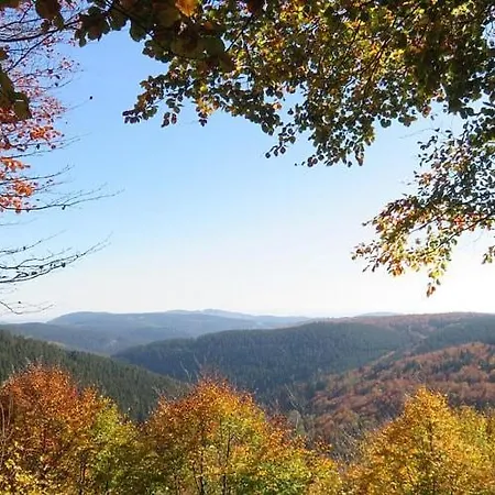 Haus Waldblick * Winterberg