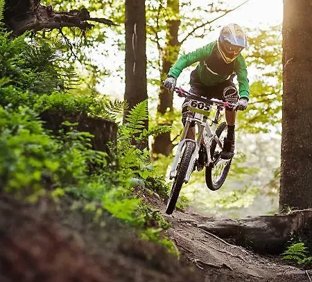 Haus Waldblick * Winterberg