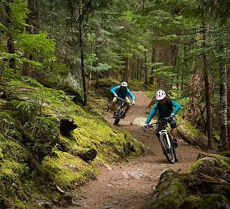 Apartman Haus Waldblick *