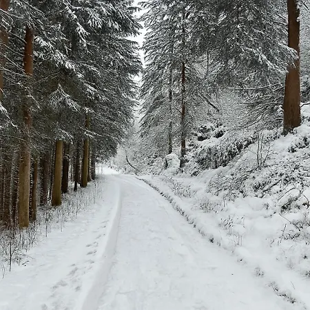 Apartmán Haus Waldblick