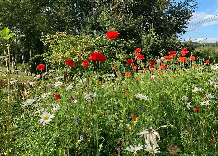 Haus Waldblick Lejlighed