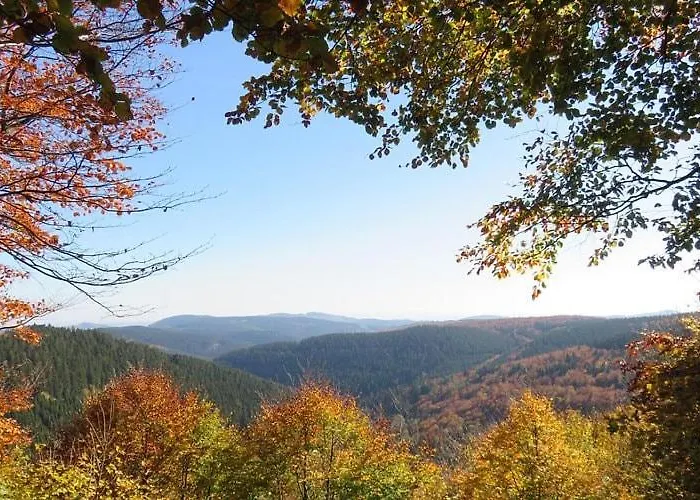 Haus Waldblick * Winterberg