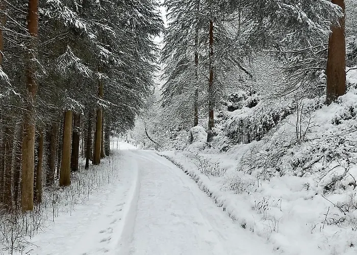 Apartman Haus Waldblick